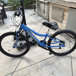 24” 1983 Girls’s Diamond Back Viper-Louis Vuitton Custom Colab  Mountain Bike