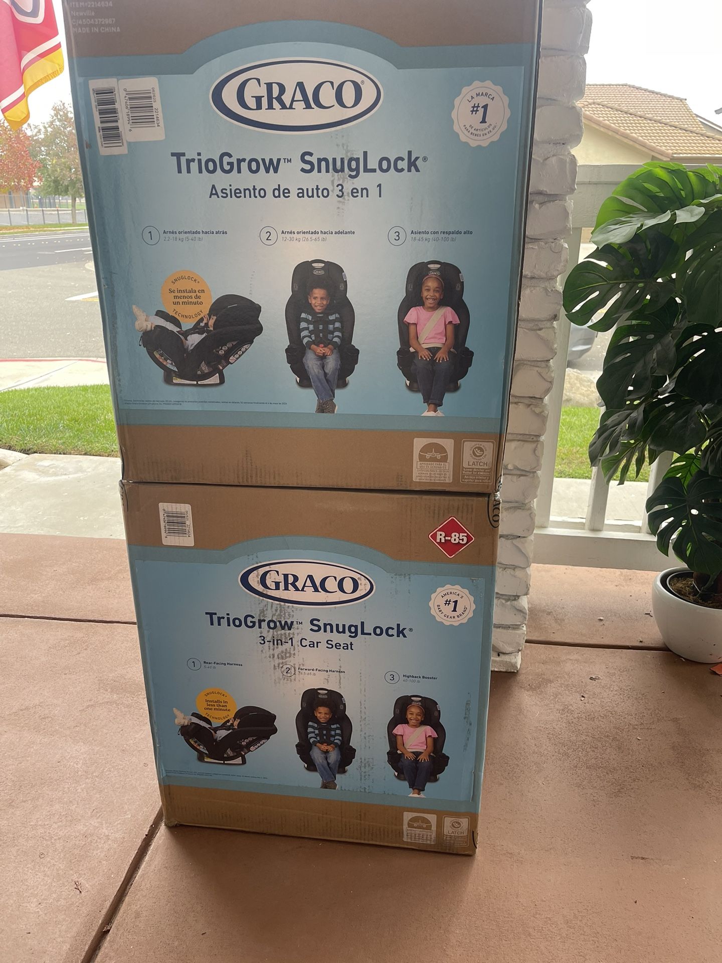 Graico Car Seat