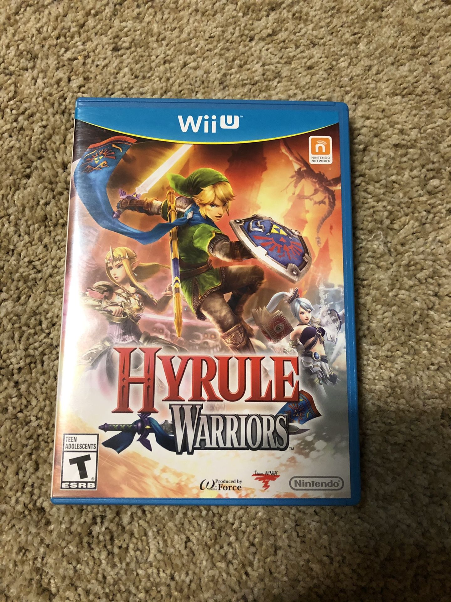 Hyrule Warriors - Wii U