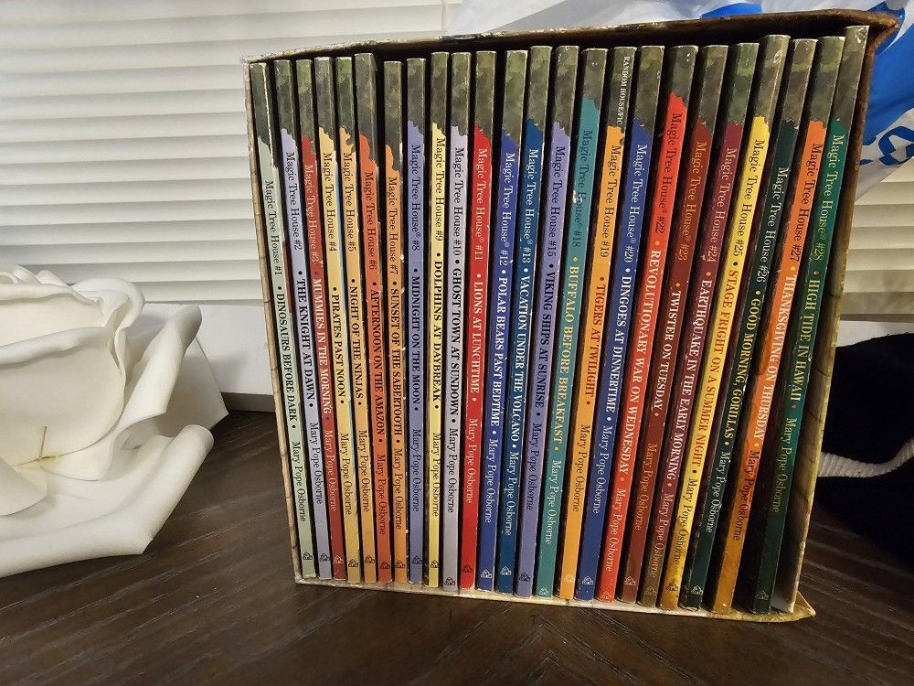 24 Magic SCHOOL House Books