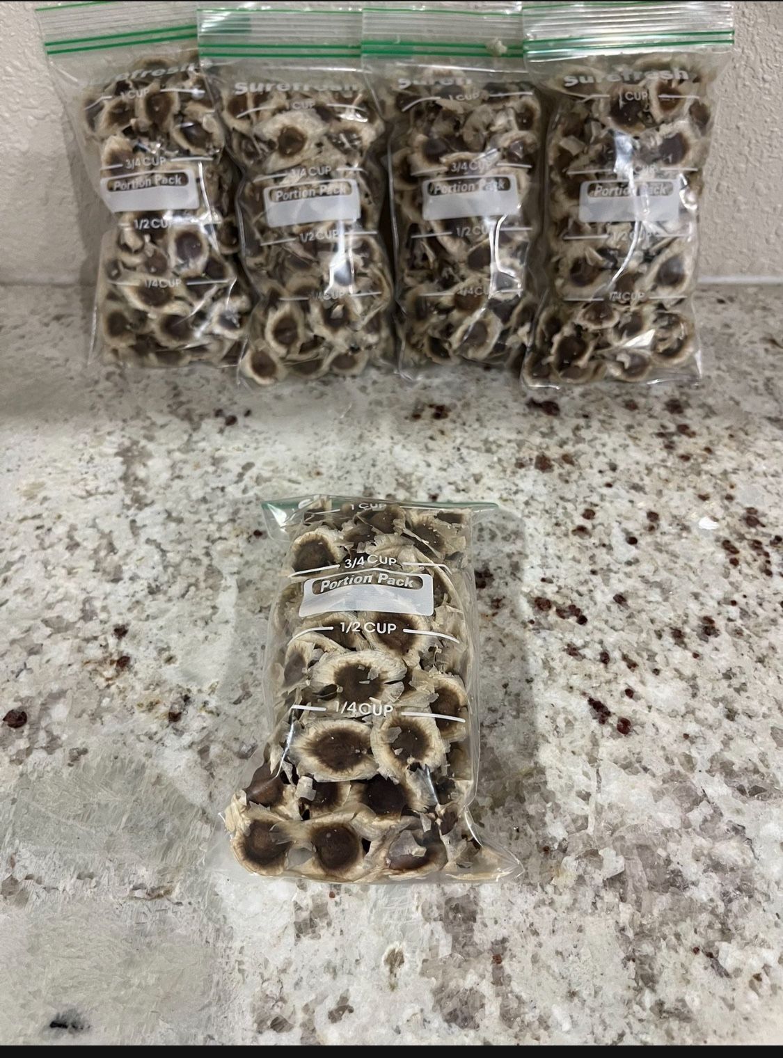 Morringa Seeds $5