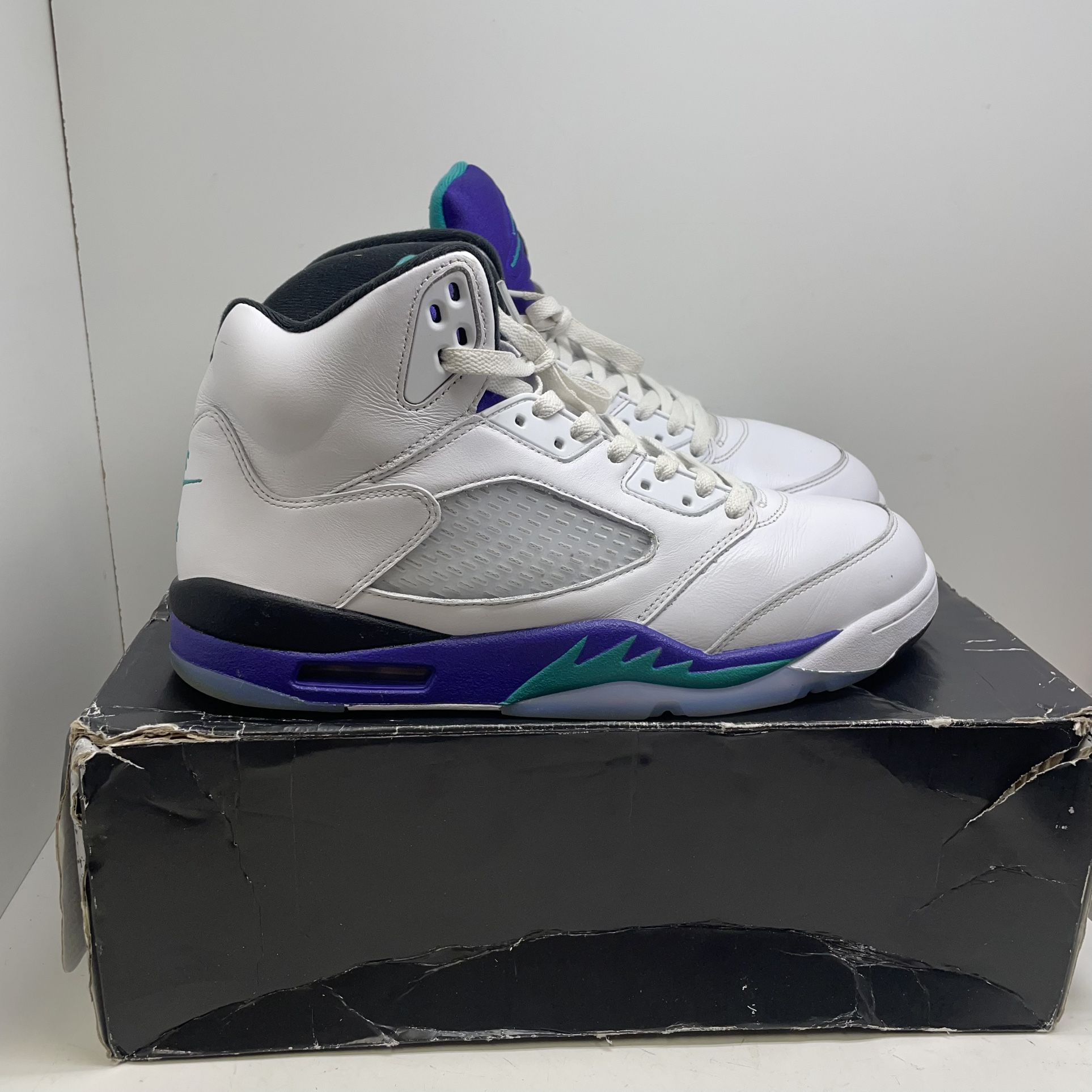 Jordan Retro 5 Grape Shoes 204193