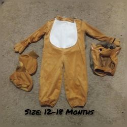 Hedgehog Honey Costume