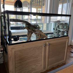 Turtle Fish Tank - With Custom Stand And All Parts