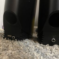 Computer Speakers 