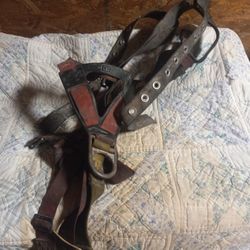 Climbing Pole Harness
