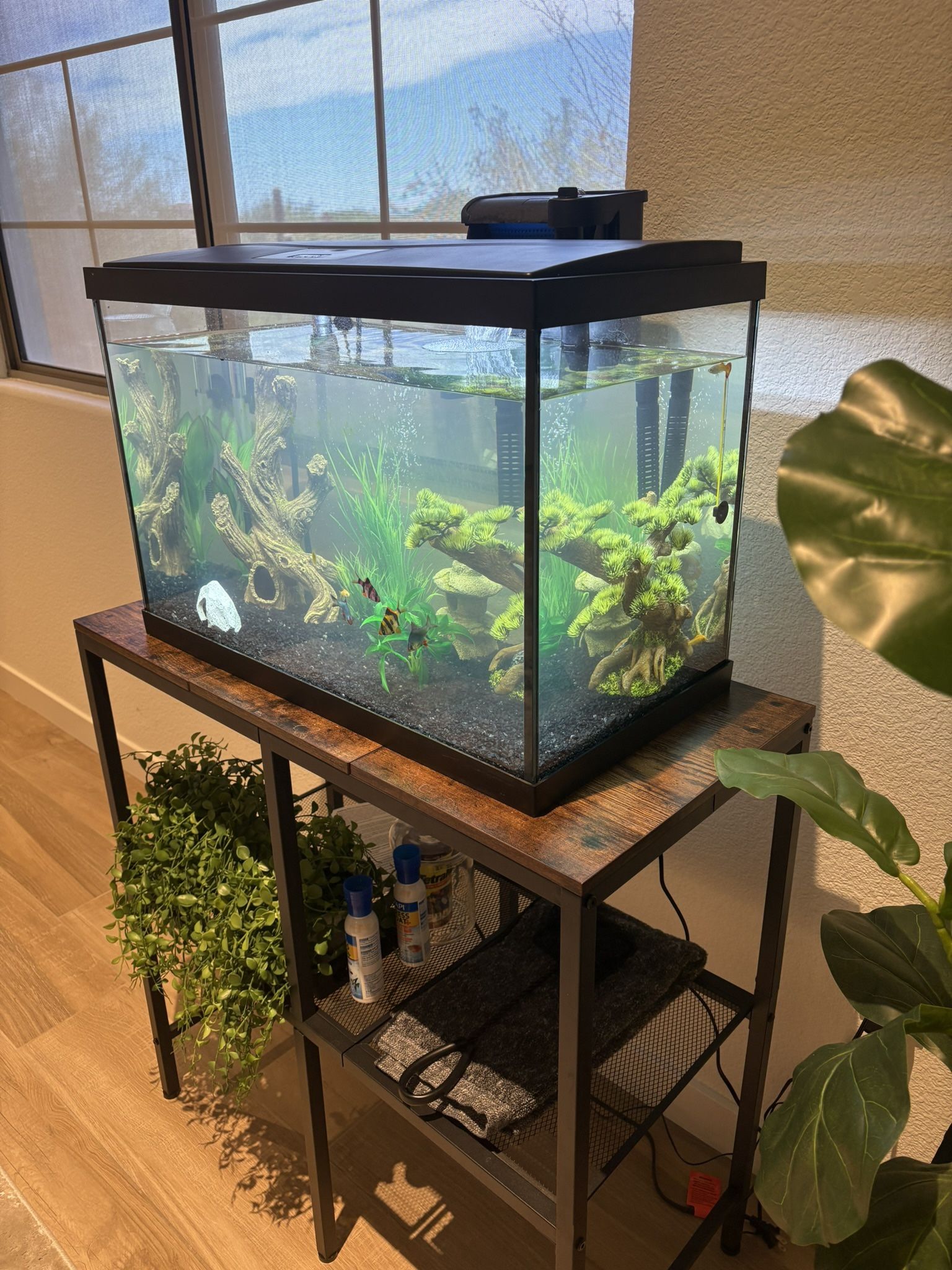 Fish Tank + Accessories 