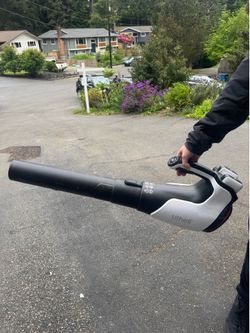 Litheli 40V Cordless Leaf Blower with 2 Batteries