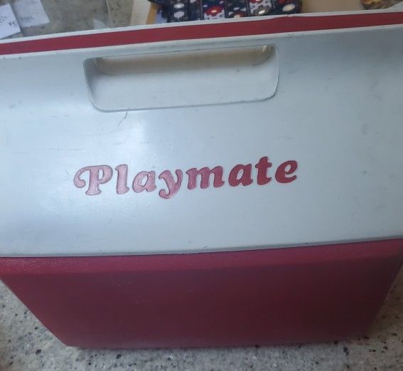 Playmate COOLER lockable lid