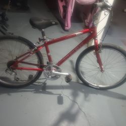 Trek 300 Navigator