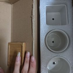 A Set Of Succulents Ceramic Pot With Drainage Hole