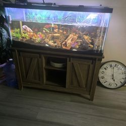 Fish Tank