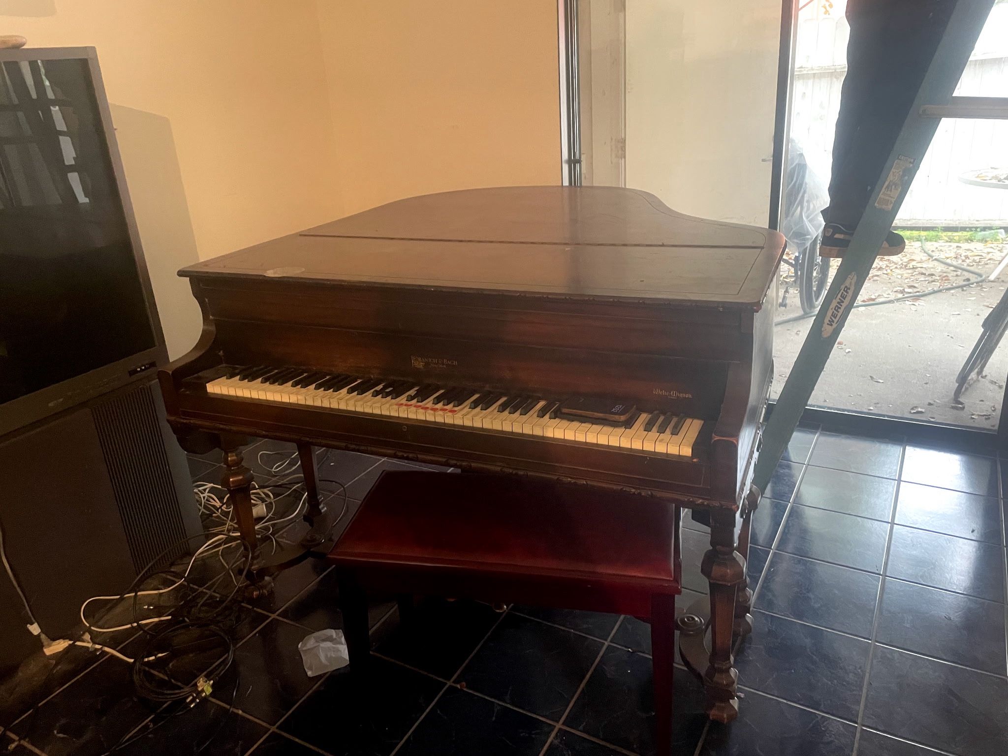 Wehe-mignon Grand Piano 
