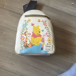 Brand New Disney Backpack 