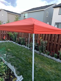 10x10 canopy Tent ⛺️