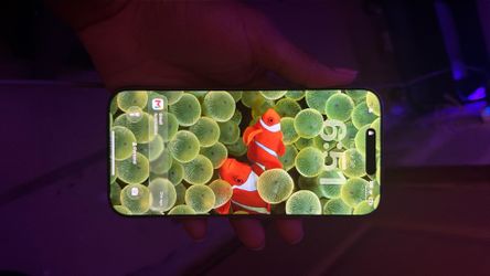 iPhone 16 pro max