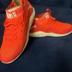Mens Puma Shoe