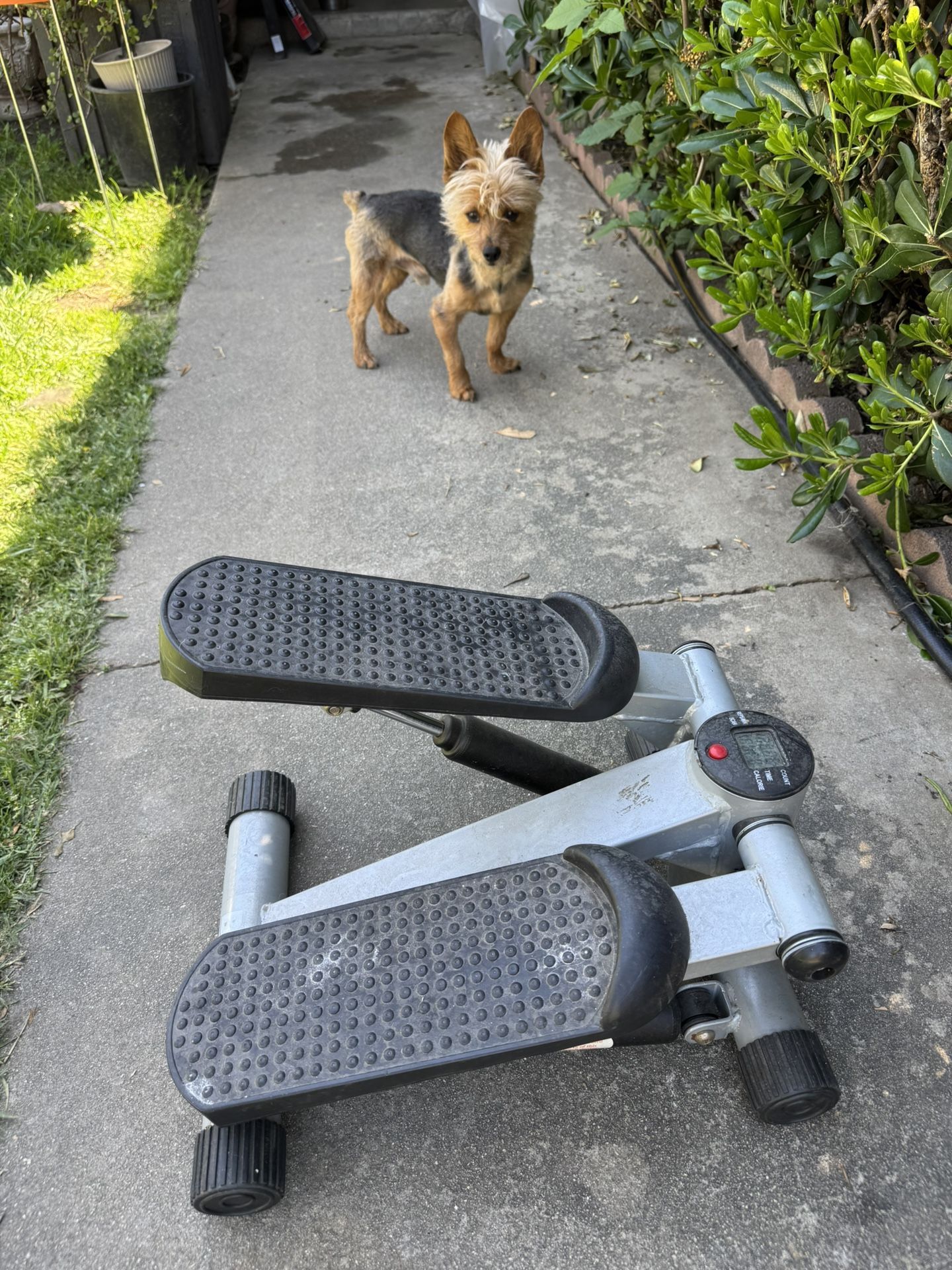 Exercise Machine