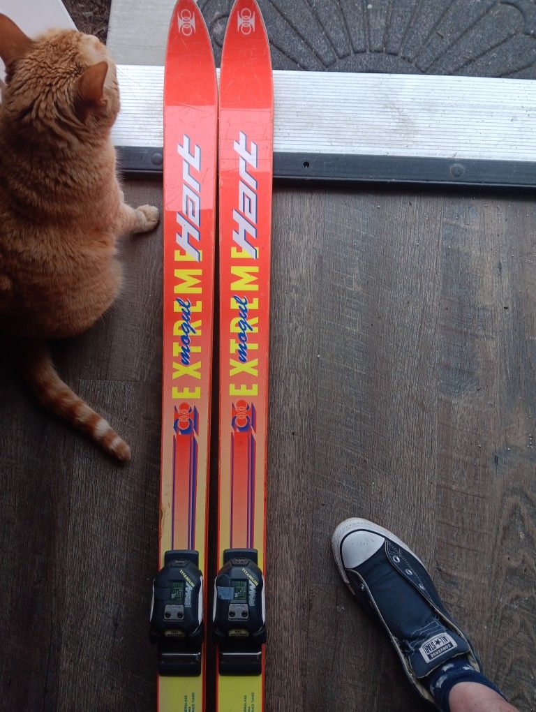 Alpine MS 810 Boots And Hart Skis
