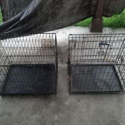 Dog Kennels 