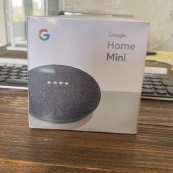 Google Home Mini — In Box