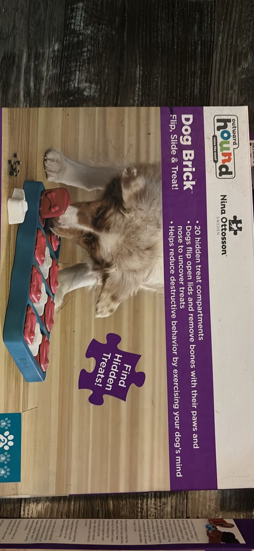 Hound Games For Dogs