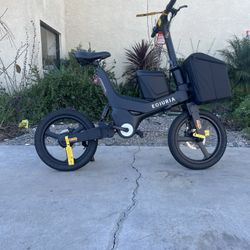 Ediuria Cargo Electric Bike – Utility / Delivery Style | True Motion E-Bikes