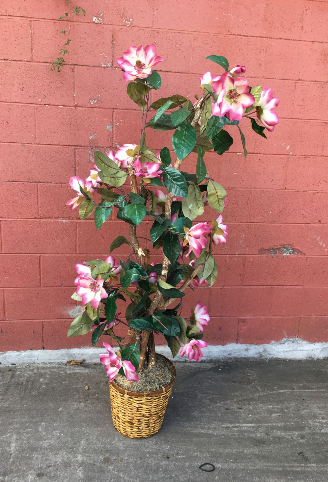 Decorative potted flower plant pink 5ft 5”