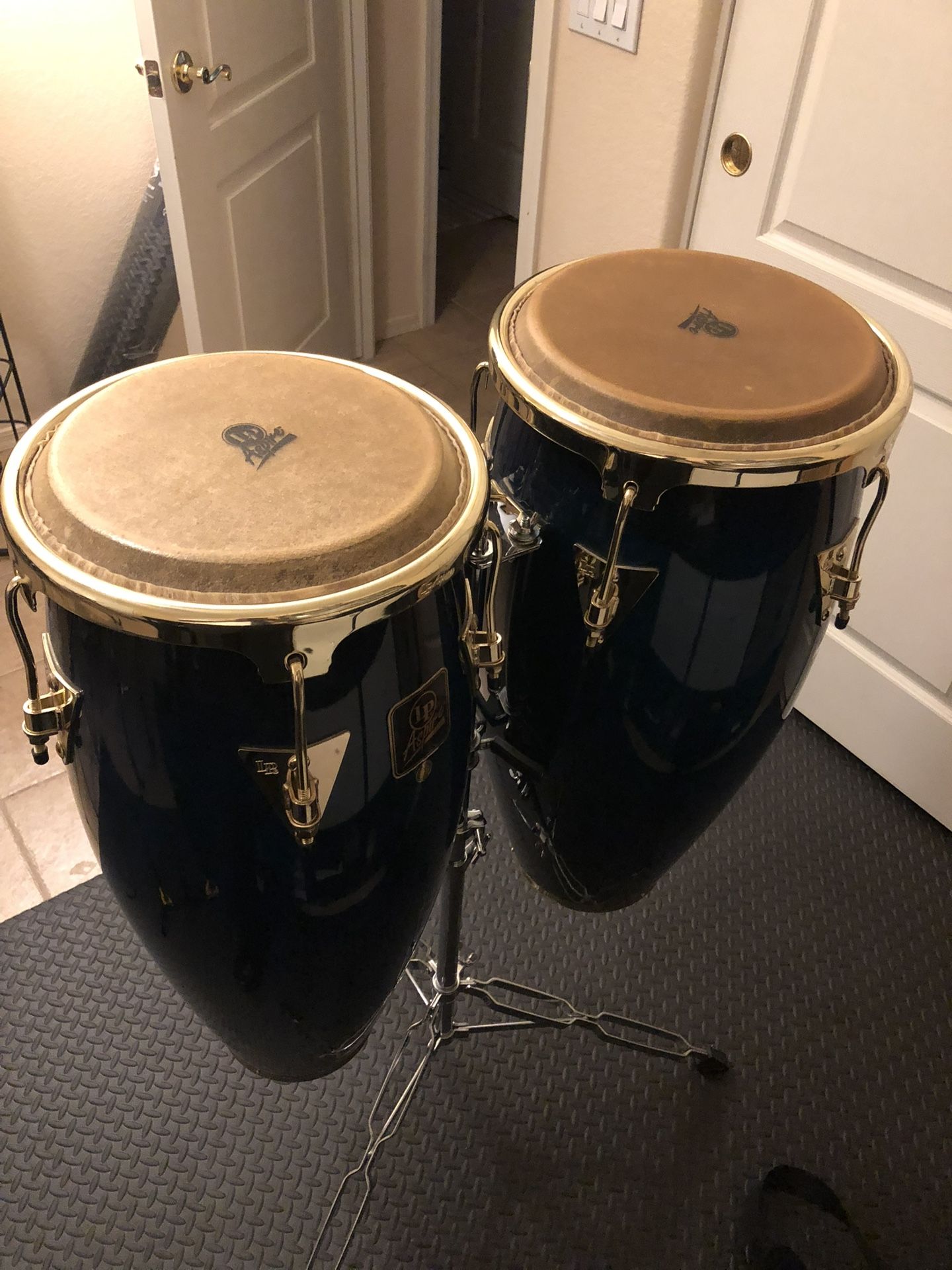 LP Congas