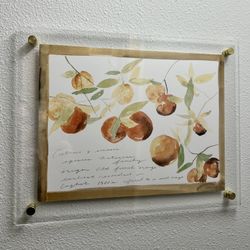 11x14 Framed Fruit Print