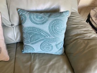 1 greenish blue throw pillow