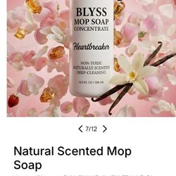 Blyss Mop Soap Sun washed Linen 16.9 Fluid Oz