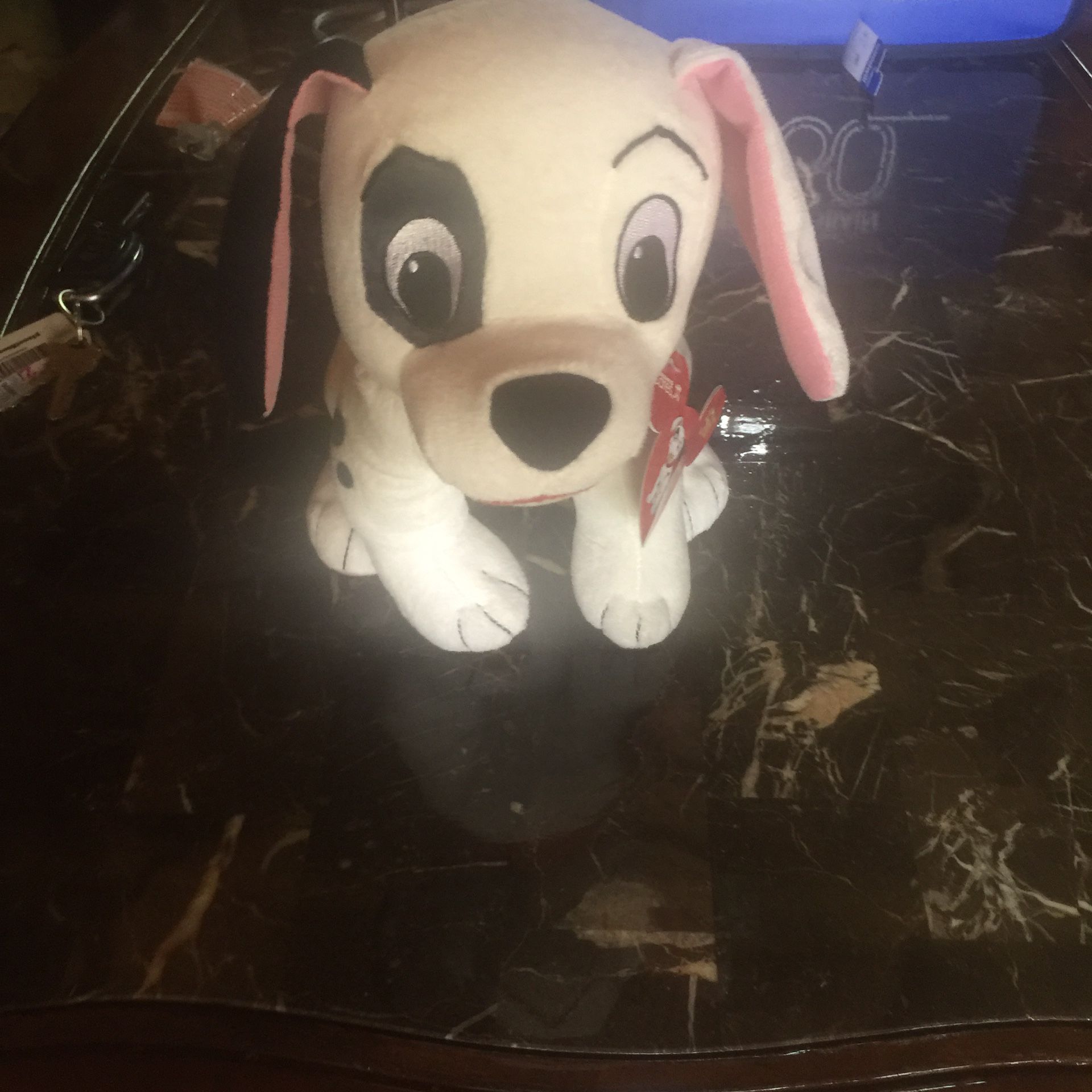 Dalmatian dog