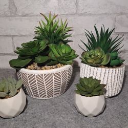 Succulents in Pots x4 ( FAKE PLANTS)