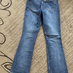 American Eagle Outfitters (flare Legs)