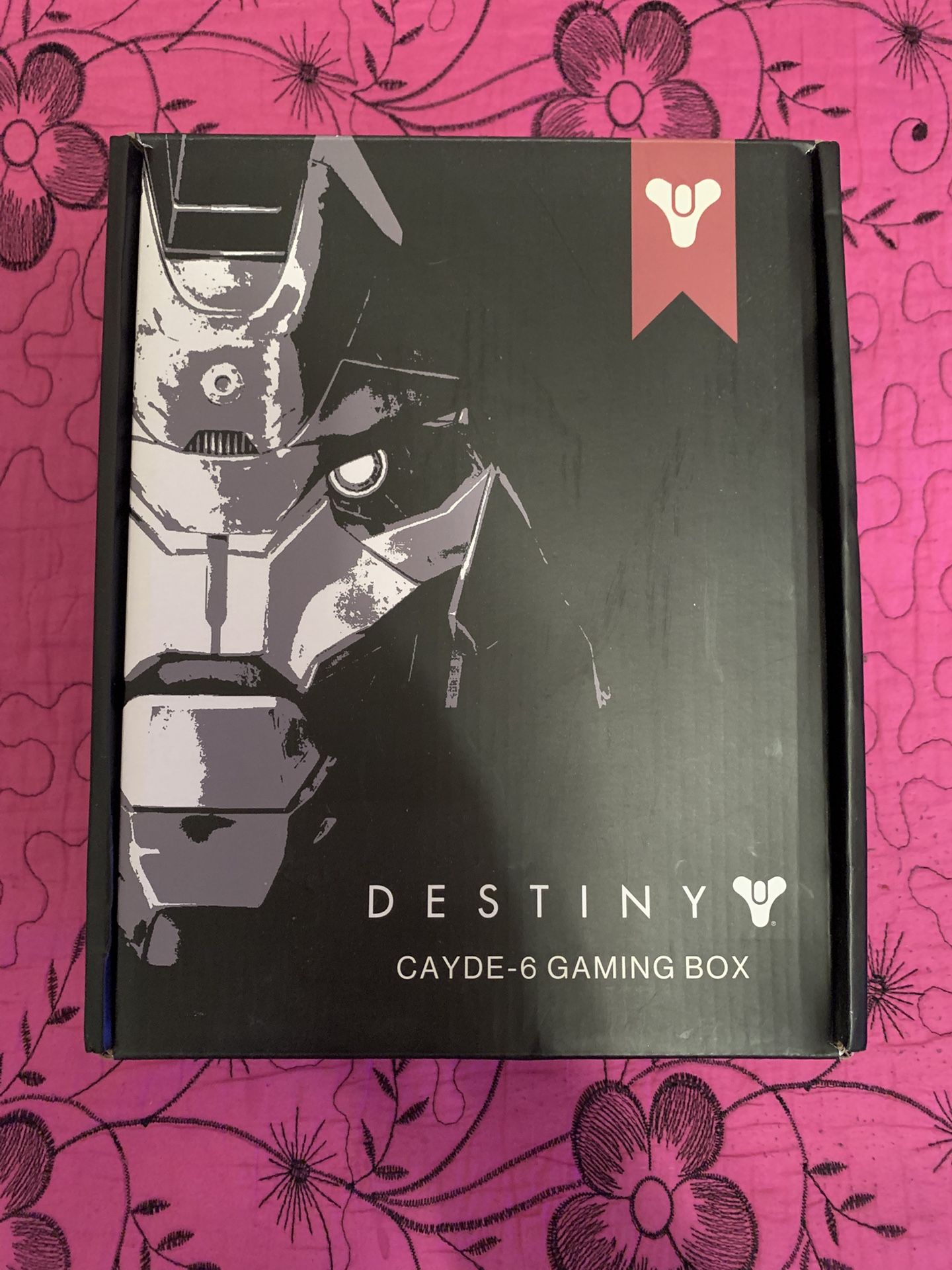 Destiny Cayde-6 Gaming Box