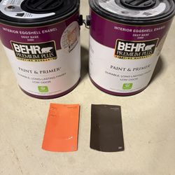 Browns Colors Paint