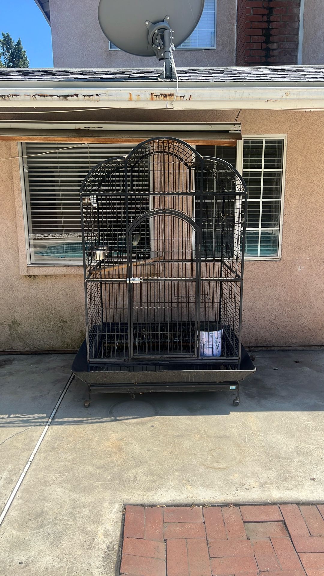 Bird Cage