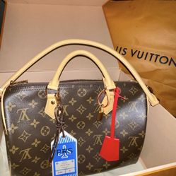 Louis Vuitton Speedy Soft Crafty 