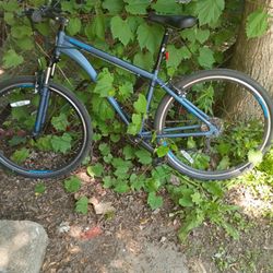 Schwinn Bike