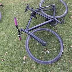 Throne Bike