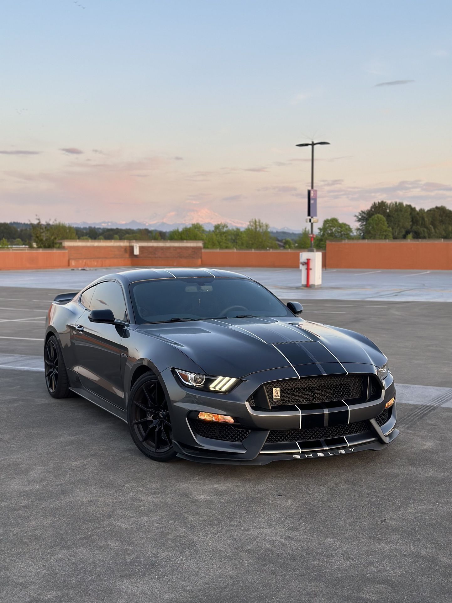 2018 Ford Shelby Gt350