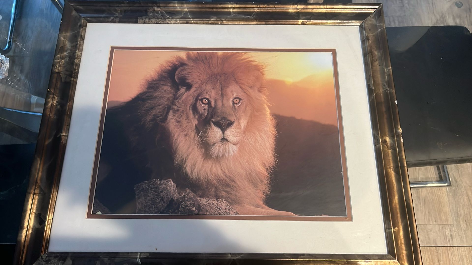 Lion Picture Frame