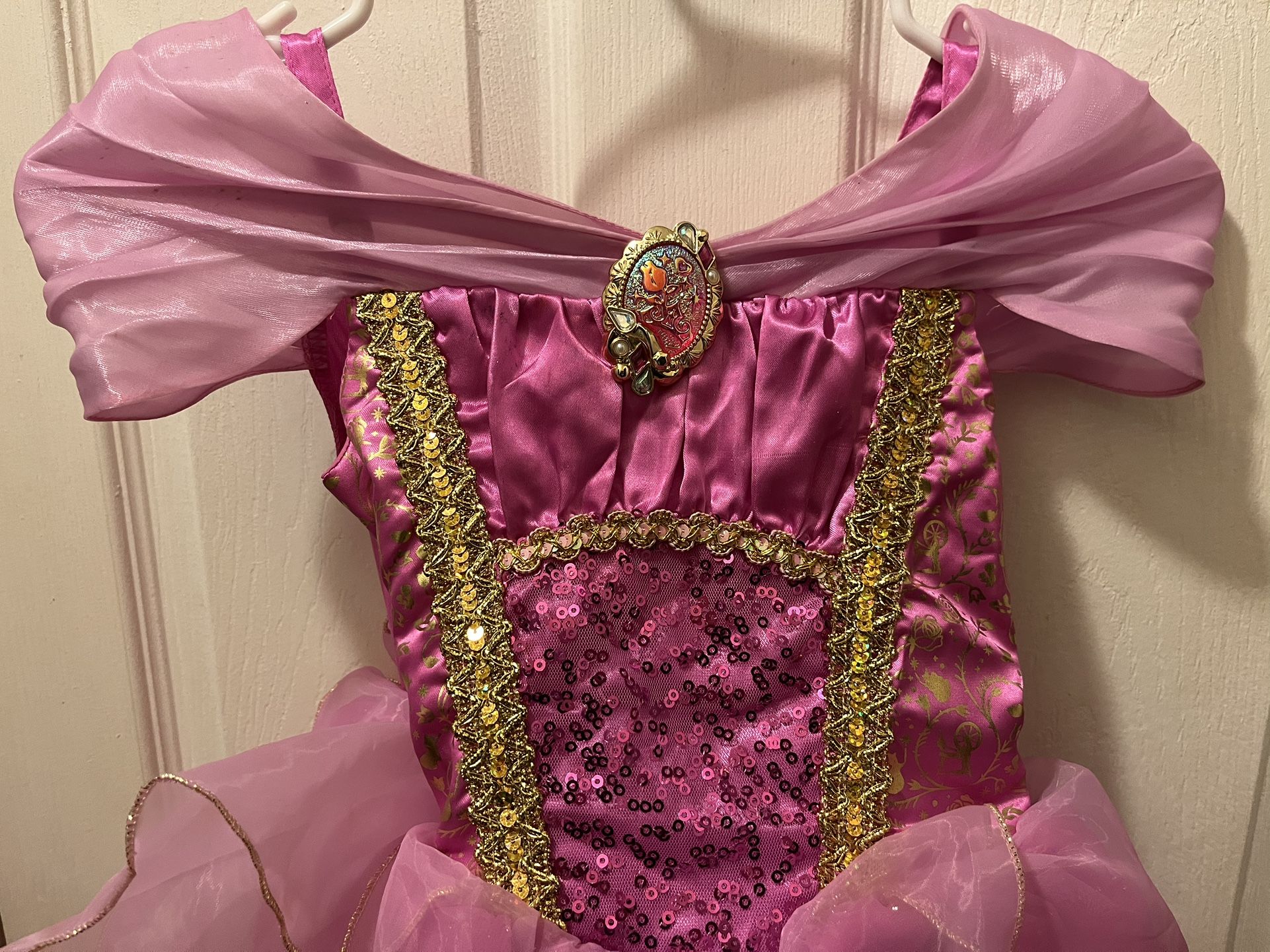 Sleeping Beauty Costume 