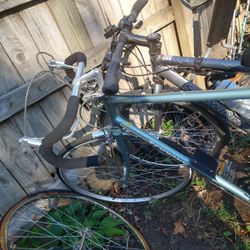 The Blue Bike Still Available 