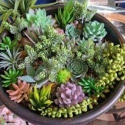 *** CLEARANCE *** Big Pot - 14" Resin Planter filled with Artificial Succulents @ Lasting Creations 