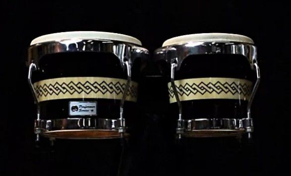 LP Performers Series bongos