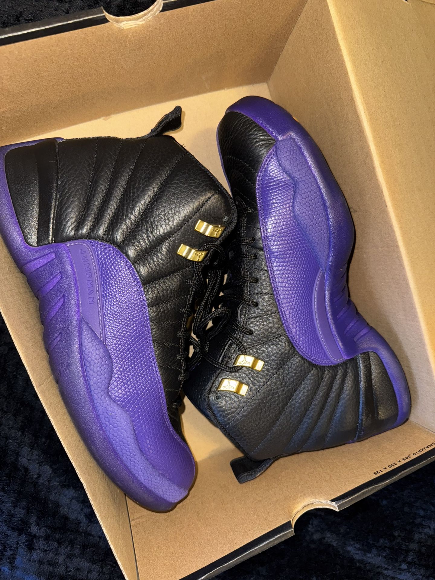 Jordan 12s Size 9.5 “ Court Purple “ 