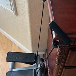Sunny Health and Fitness Mini Stepper