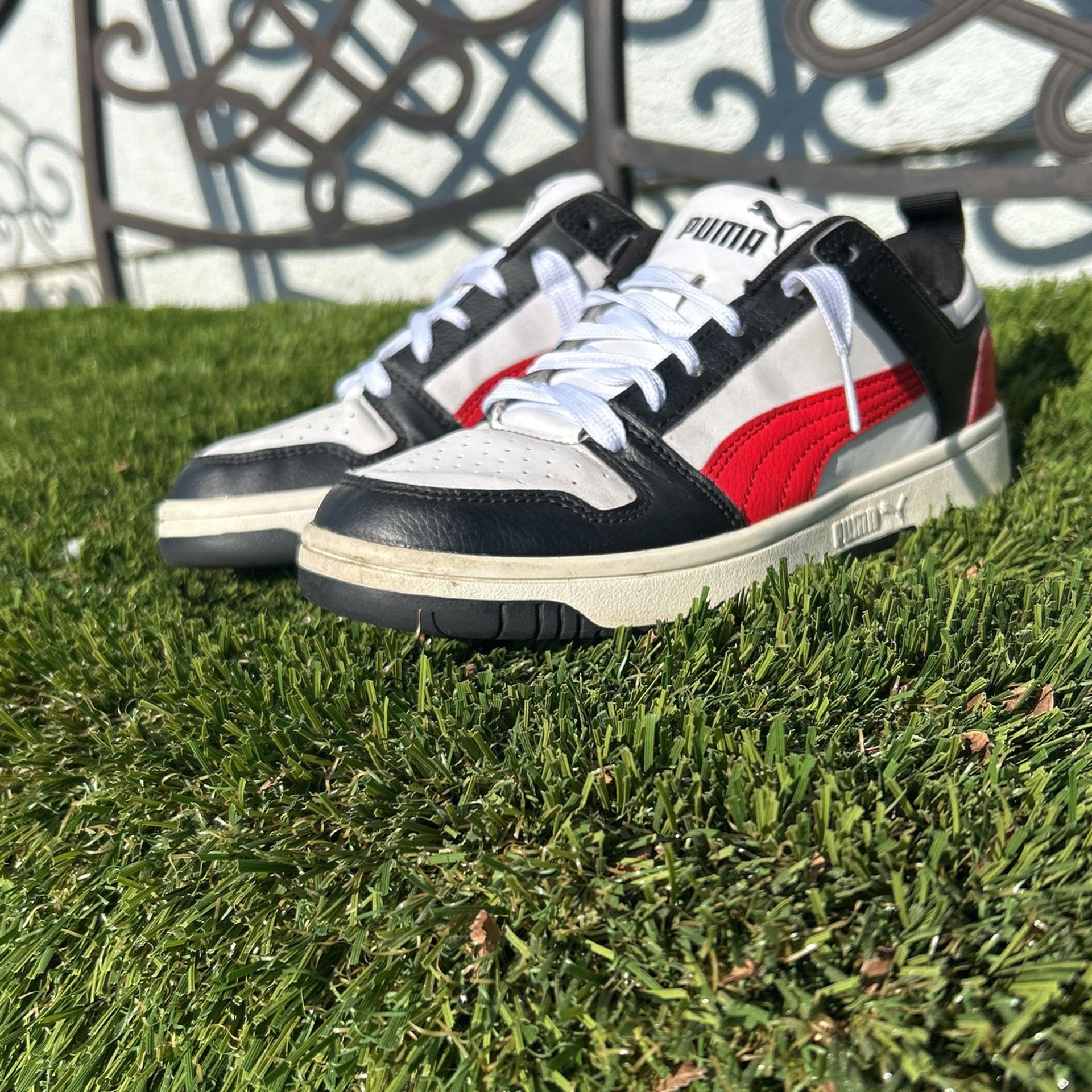 Pumas